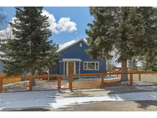 231 W 8th St, Leadville, CO 80461