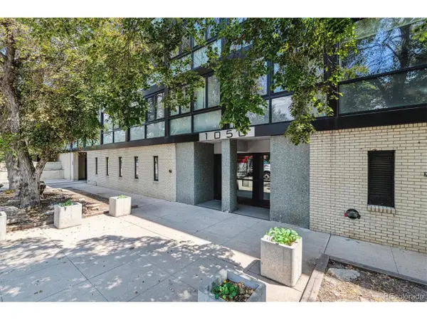 1050 N Corona St #314, Denver, CO 80218