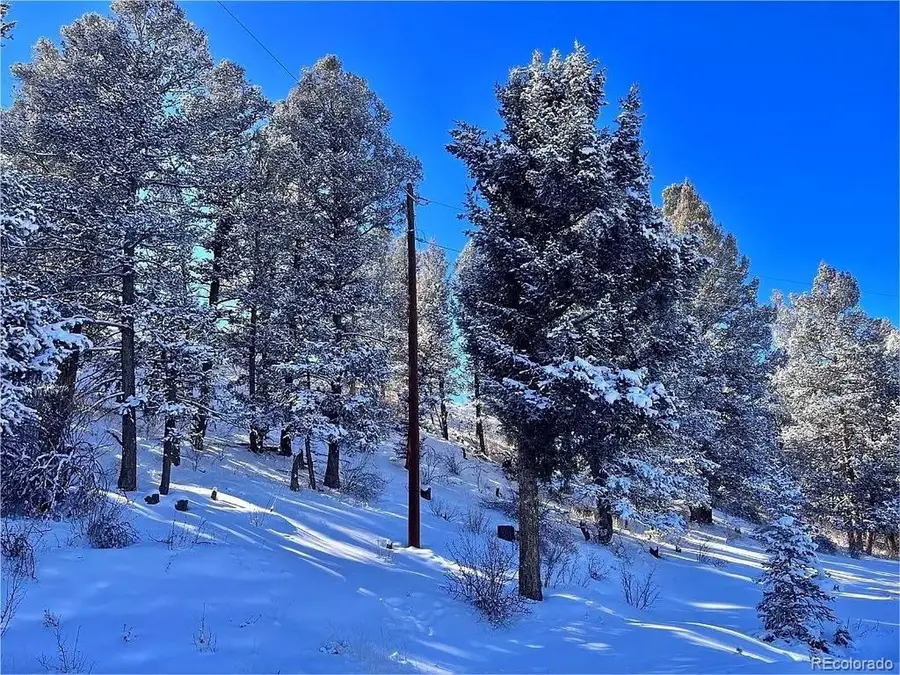 44 Arthurs Ct, Fairplay, CO 80440 - #2