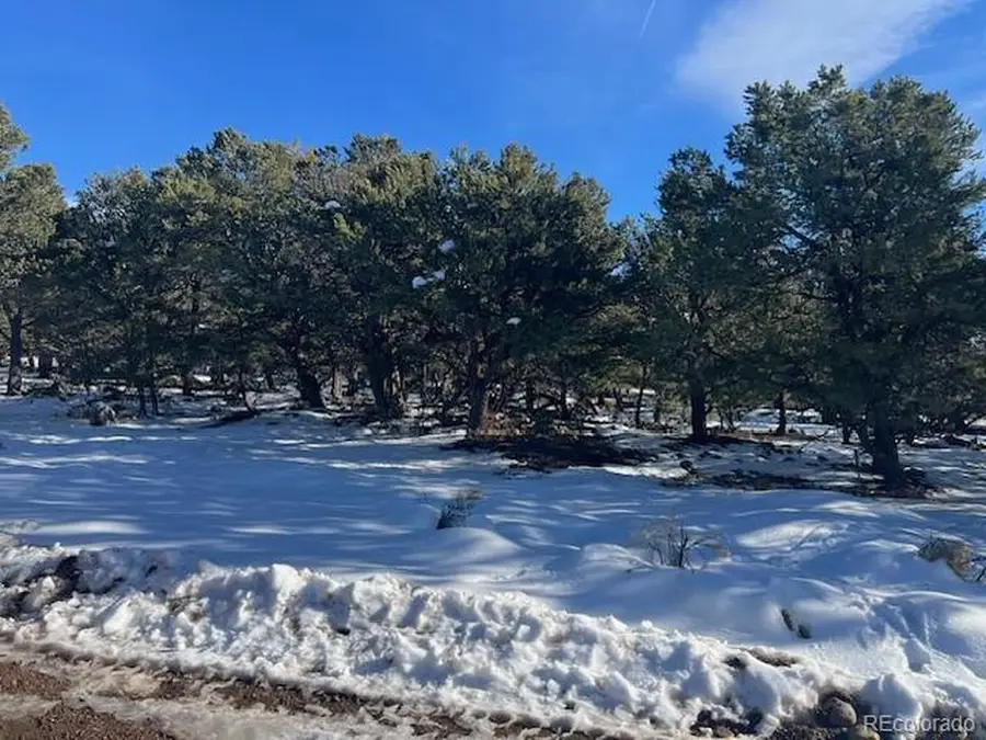 3952 Cheerful Pl, Crestone, CO 81131 - Image #2