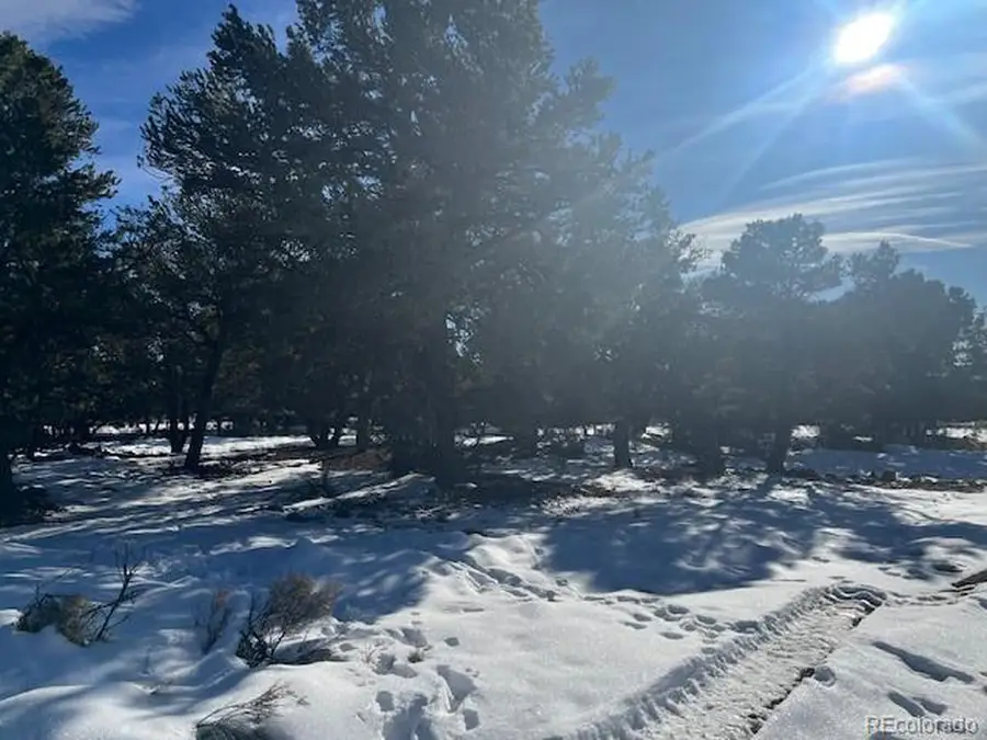 3952 Cheerful Pl, Crestone, CO 81131 - Image #3