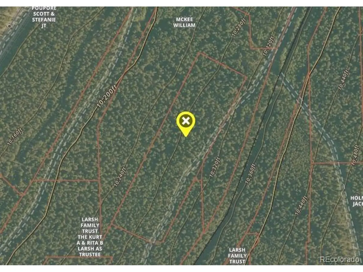 2773 Little Ralph, Leadville, CO 80461 - #1
