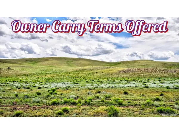 1238 Chicha Rd, Hartsel, CO 80449