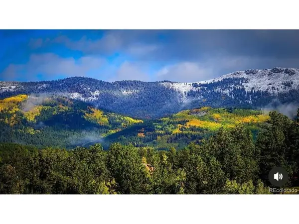 1682 Clark Rd, Bailey, CO 80421