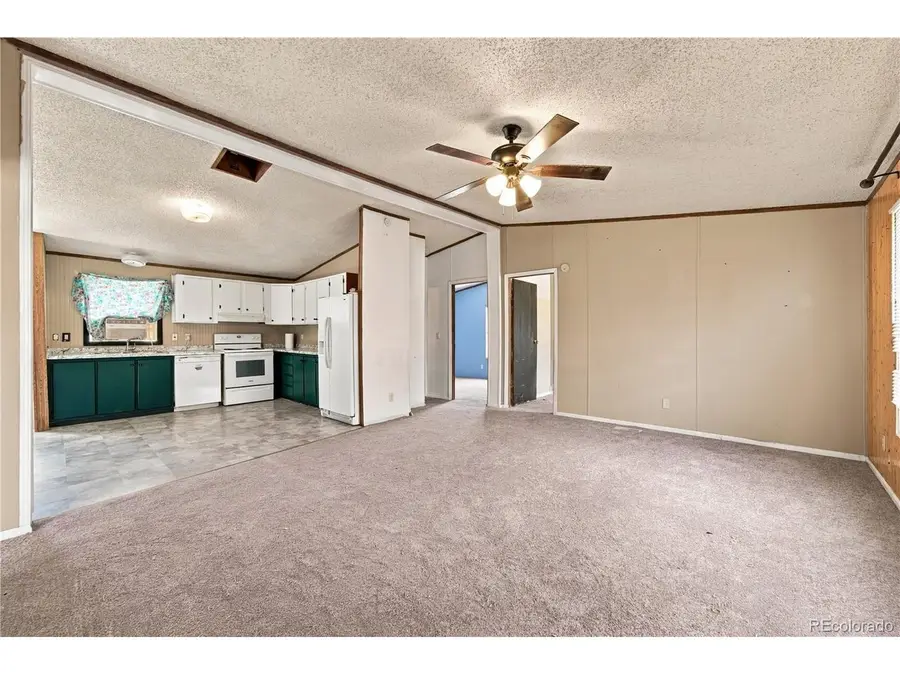 30 W 8th Ave, Coal Creek, CO 81221 - #3
