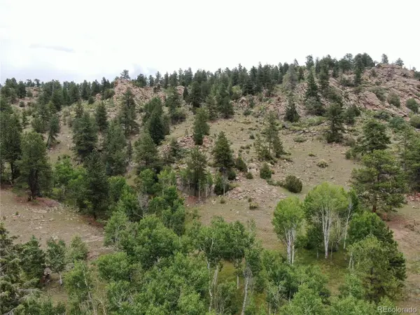 Address Withheld By Seller, Florissant, CO 80816