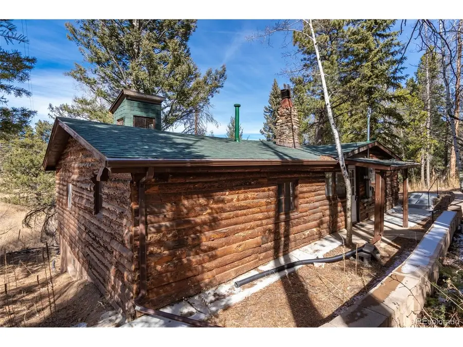 10783 Fox Trot Ln, Conifer, CO 80433 - #3