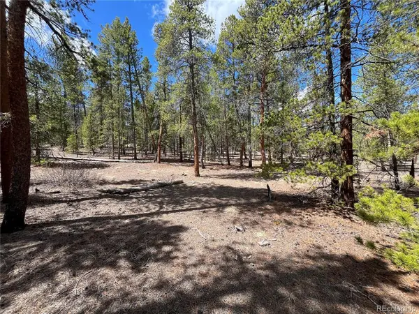 1013 Sequoia Dr, Twin Lakes, CO 81251