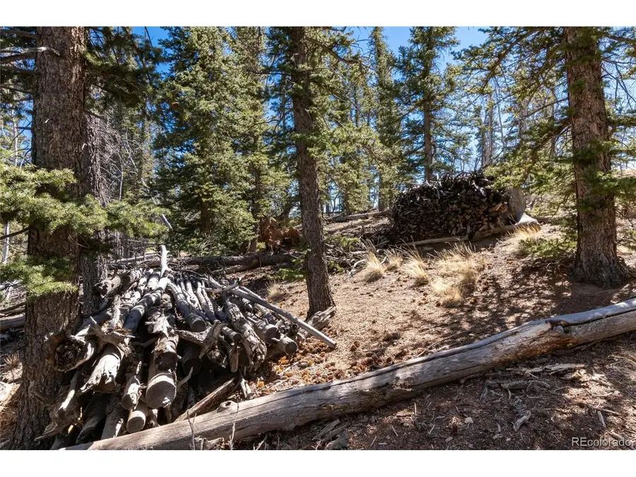 Address Withheld By Seller, Lake George, CO 80820 - #2