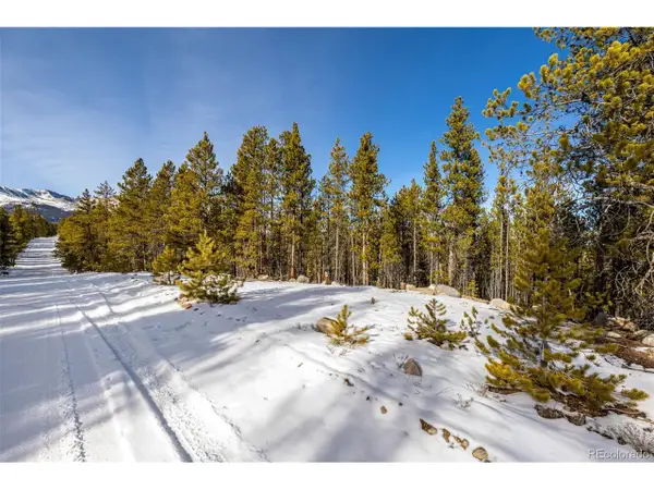 539 Sequoia Dr, Leadville, CO 80461