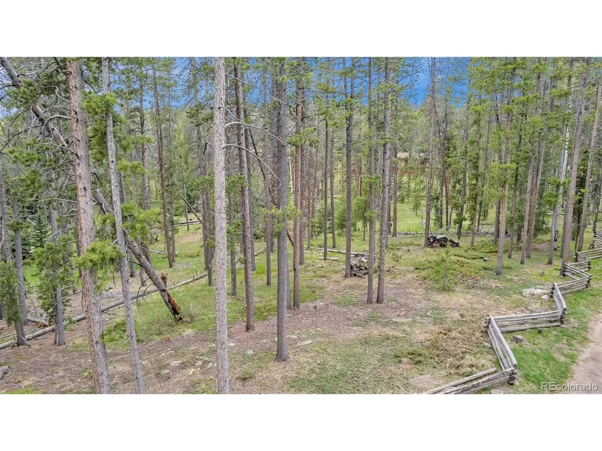 2 Vickery Ave, Conifer, CO 80433 - #1