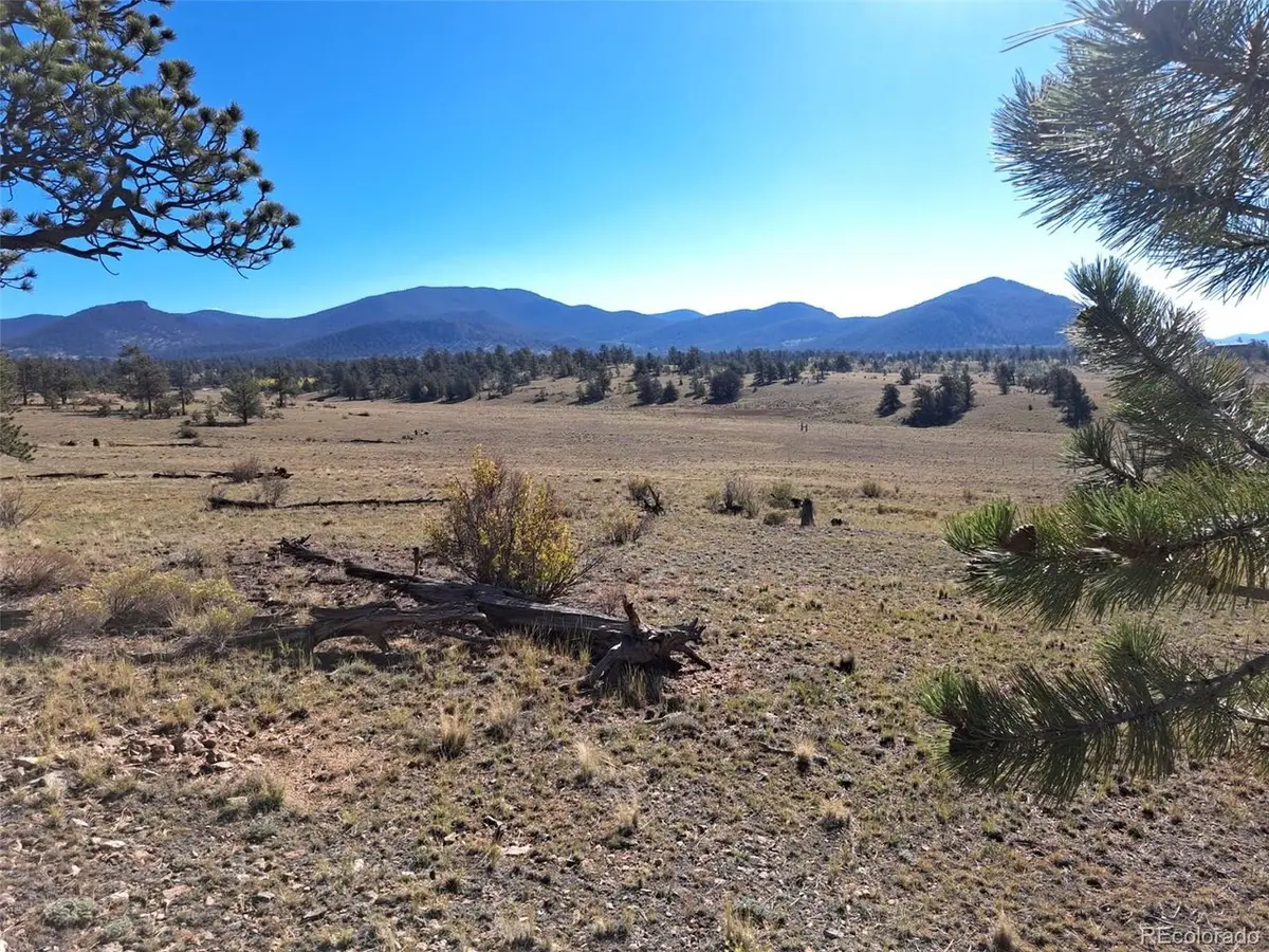 508 Grand Teton Dr, Hartsel, CO 80449 - #1