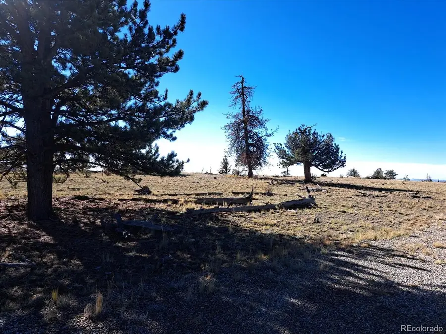 508 Grand Teton Dr, Hartsel, CO 80449 - #3