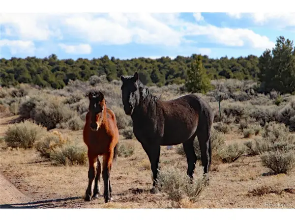 17 Alta Mesa Dr, San Luis, CO 81152