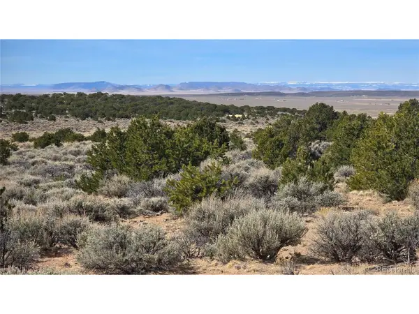 1075 Sylvia Rd, Fort Garland, CO 81133