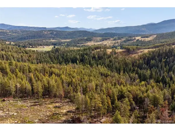 8570 S Warhawk Rd, Conifer, CO 80433