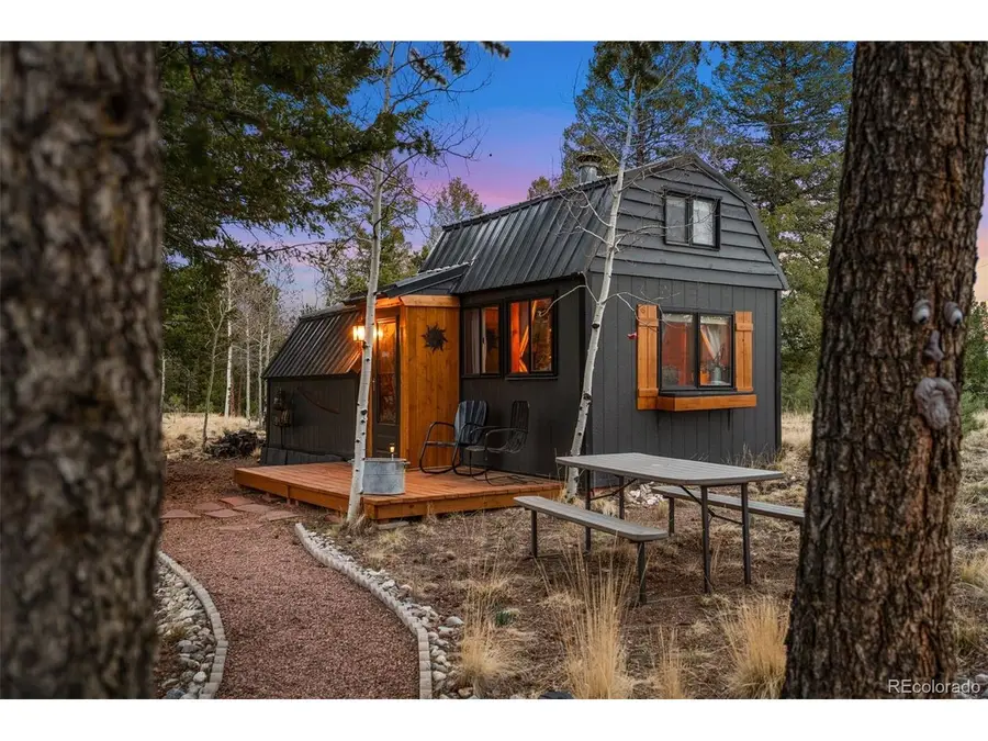 1366 Vagabond Creek Dr, Lake George, CO 80827 - #3