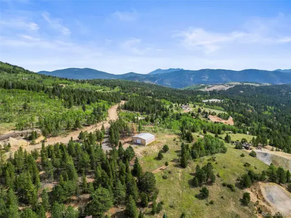 6660 Virginia Canyon Rd, Central City, CO 80427