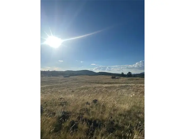 290 Castle Mountain Dr, Florissant, CO 80816