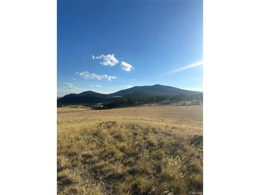 290 Castle Mountain Dr, Florissant, CO 80816 - #2