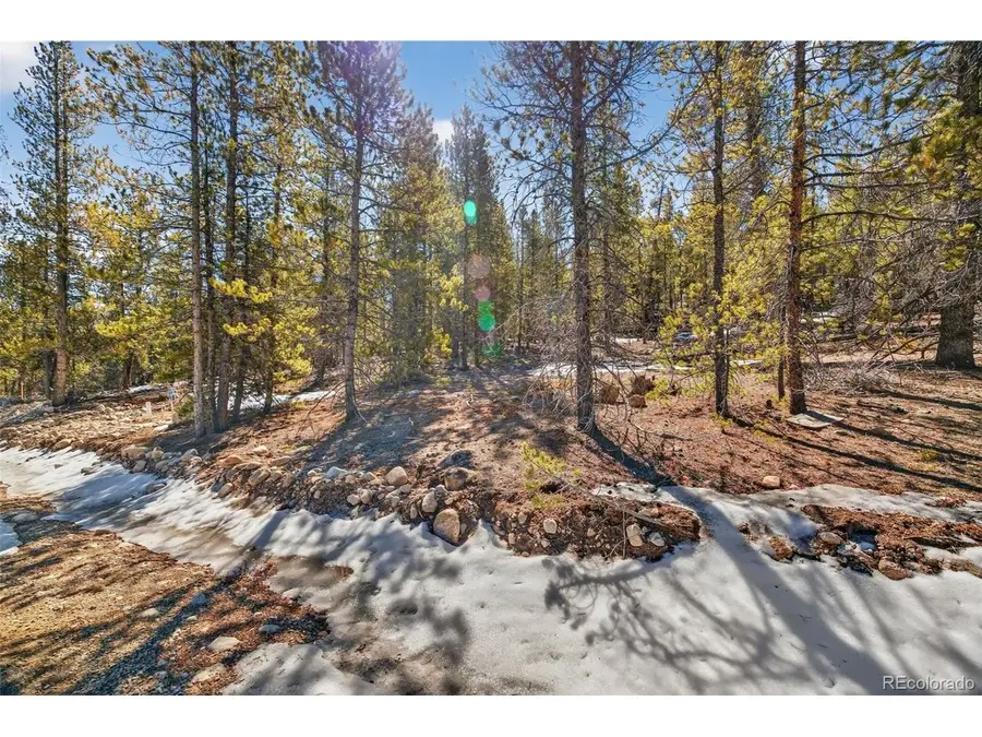 312 Mt Massive Rd, Twin Lakes, CO 81251 - #2