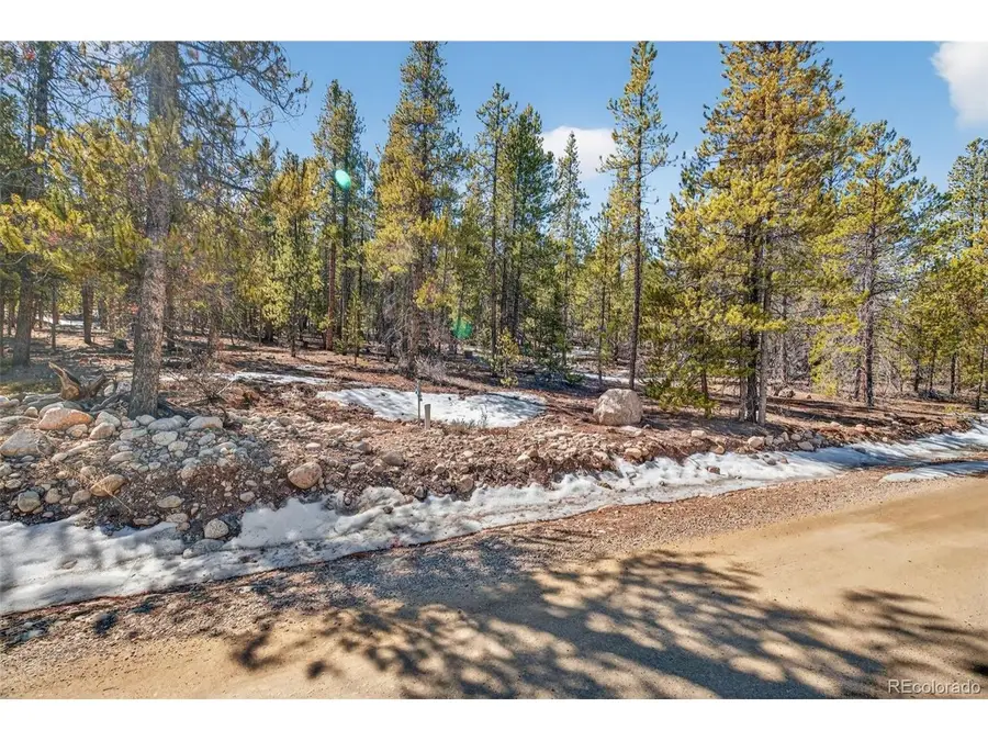 312 Mt Massive Rd, Twin Lakes, CO 81251 - #3