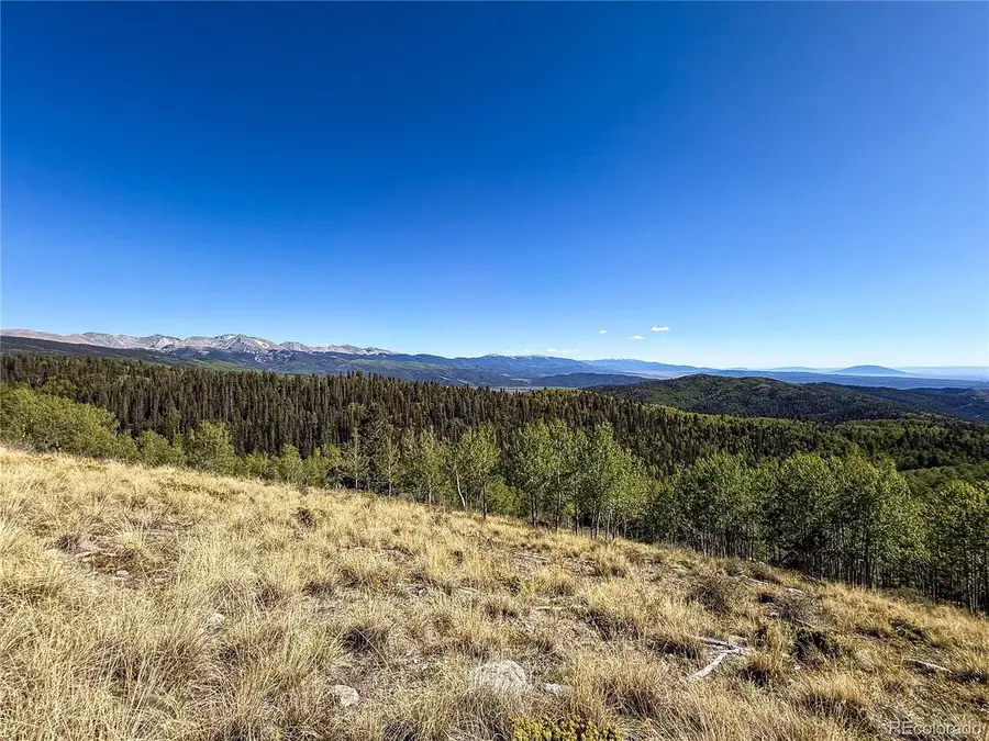 6829 Ryland Rd, Fort Garland, CO 81133 - #3