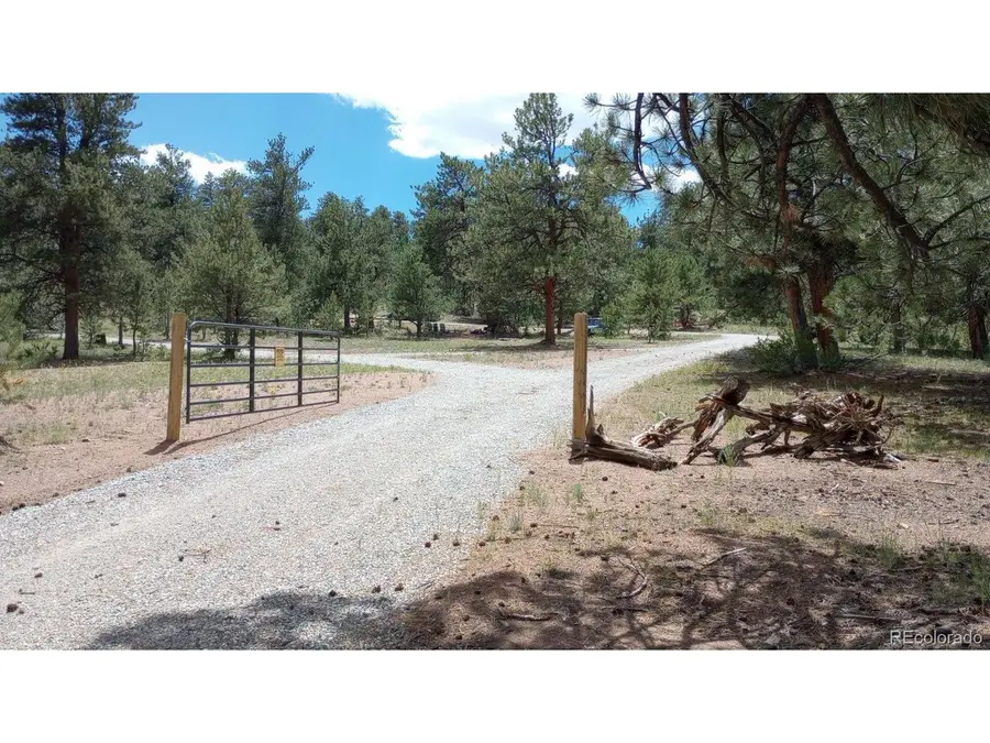 622 Arikara Trl, Hartsel, CO 80449 - #2