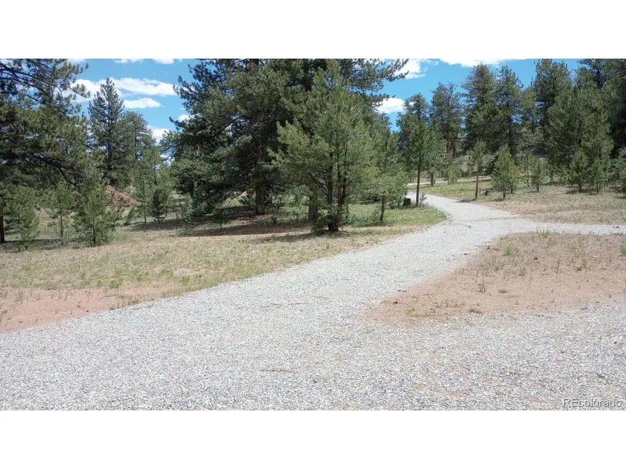 622 Arikara Trl, Hartsel, CO 80449 - #3