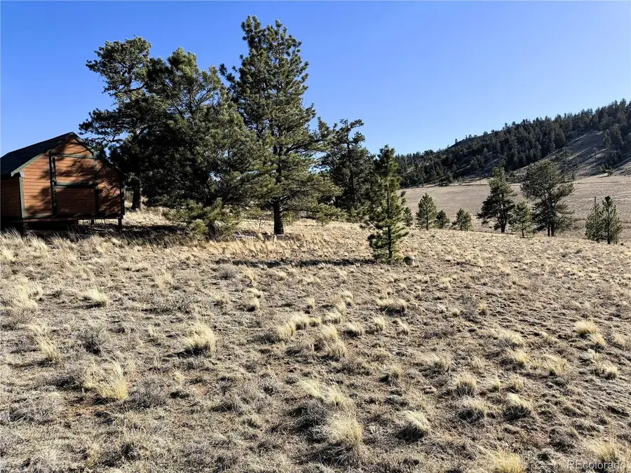 0 Crazy Horse Trl, Hartsel, CO 80449 - #3