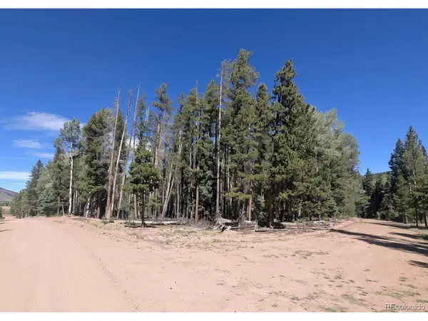 2895 Henderson Dr, Fort Garland, CO 81133