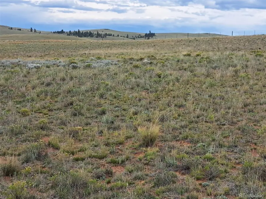 0 Kiowa Rd, Hartsel, CO 80449 - #2