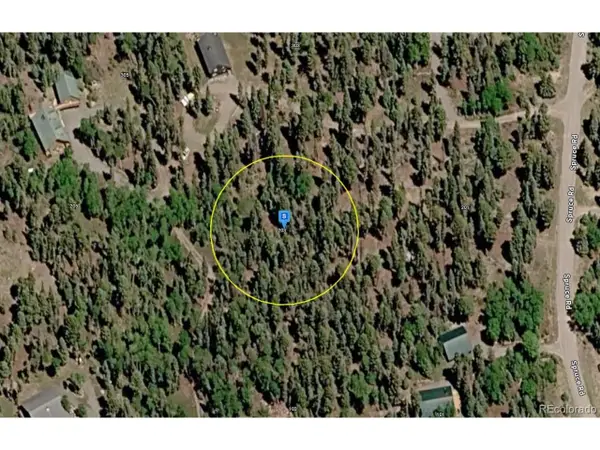 203 Spruce Rd, Cimarron, CO 81220
