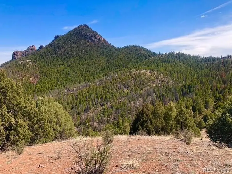 Tbd Cathedral Trl, Conifer, CO 80433 - #3