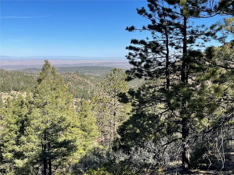 6168 Hoadley Rd, Fort Garland, CO 81133 - #3