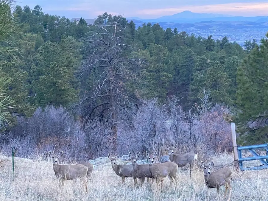 488 Wrangler Rd, Castle Rock, CO 80108 - #3