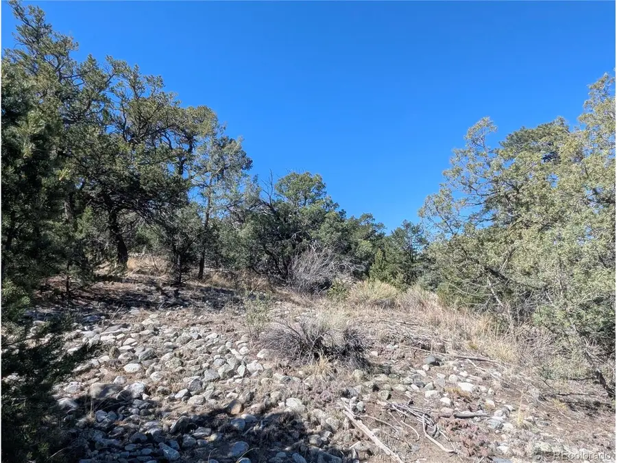 200 Mill Run Rd, Mosca, CO 81146 - #2
