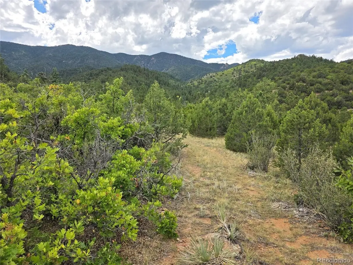 6179 County Road 84, Florence, CO 81226 - #1
