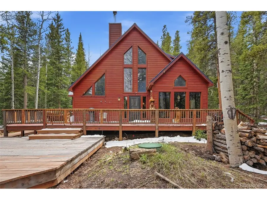 1419 Little Bear Creek Rd, Idaho Springs, CO 80452 - #3