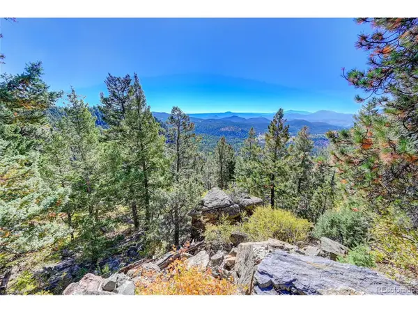 11723 Braun Way, Conifer, CO 80433