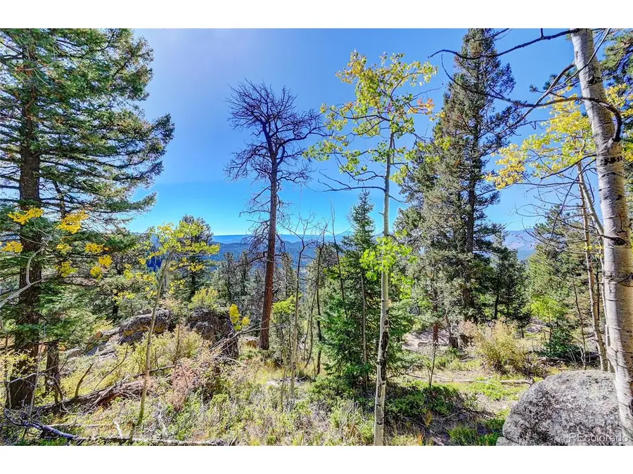 11723 Braun Way, Conifer, CO 80433 - #2