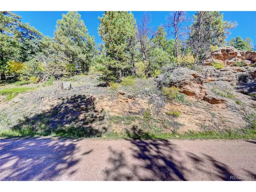 11723 Braun Way, Conifer, CO 80433 - #3