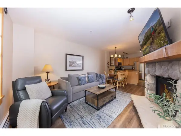 100 Dercum Sq #8372, Dillon, CO 80435