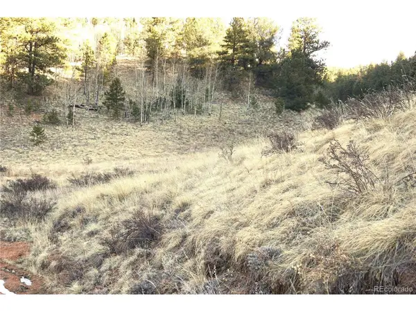 637 Valley Rd, Divide, CO 80814