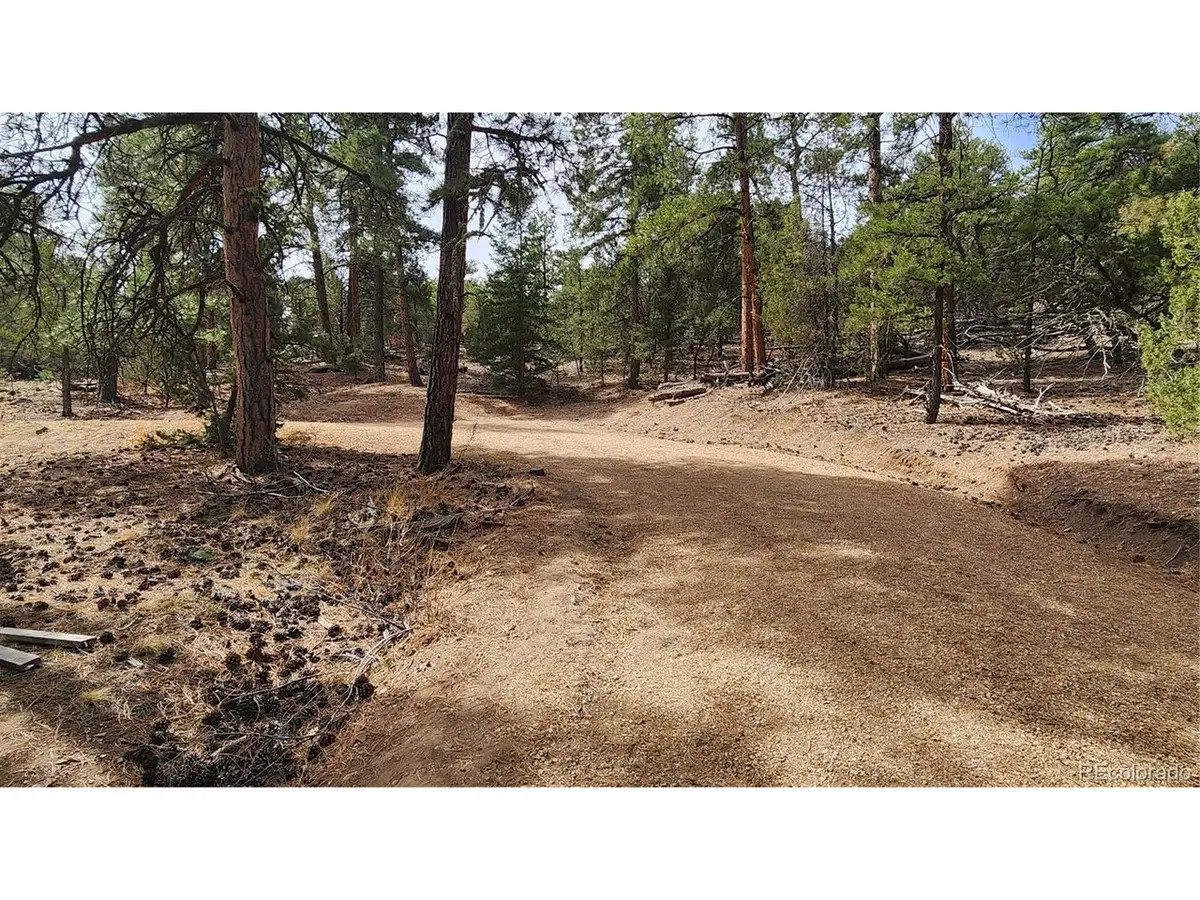 2417 Indian Wells Rd, Cotopaxi, CO 81223 - #1