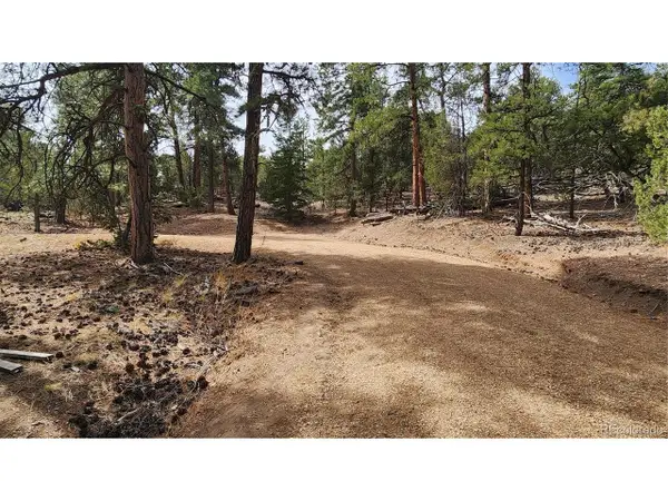 2417 Indian Wells Rd, Cotopaxi, CO 81223