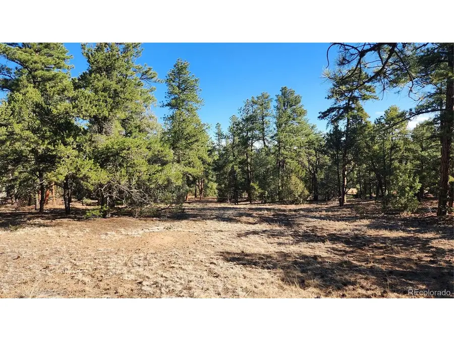 2417 Indian Wells Rd, Cotopaxi, CO 81223 - #2