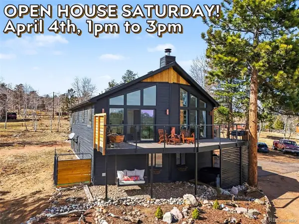 38 Pinon Rd, Bailey, CO 80421