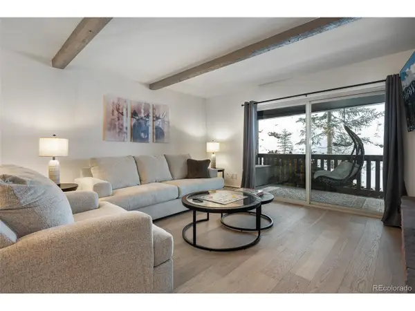 246 Hi Country Dr #3, Winter Park, CO 80482