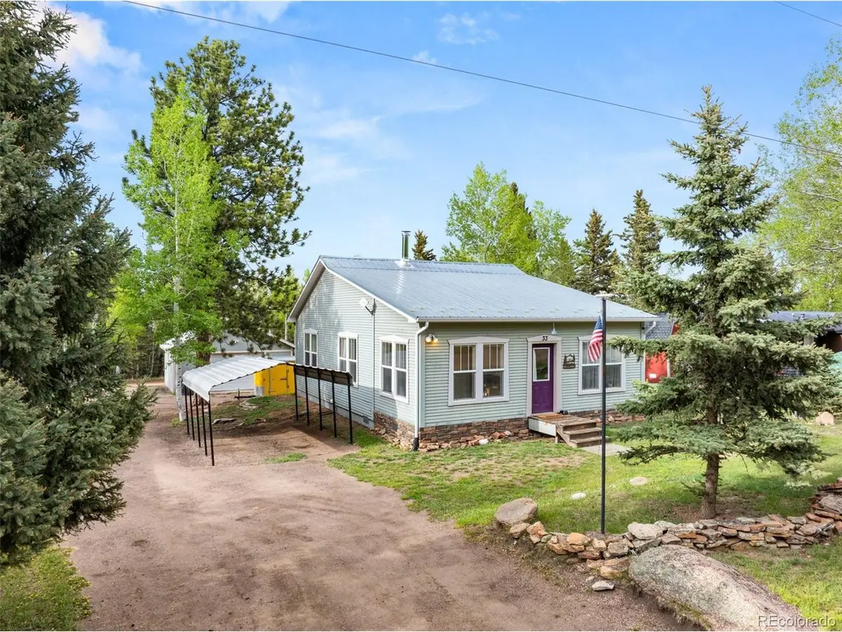 33 Maid Marian Dr, Divide, CO 80814 - #1